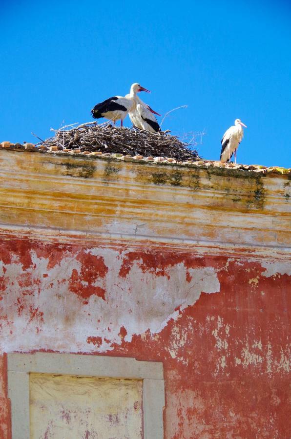 Villa Casa Margarida Azul Silves Esterno foto